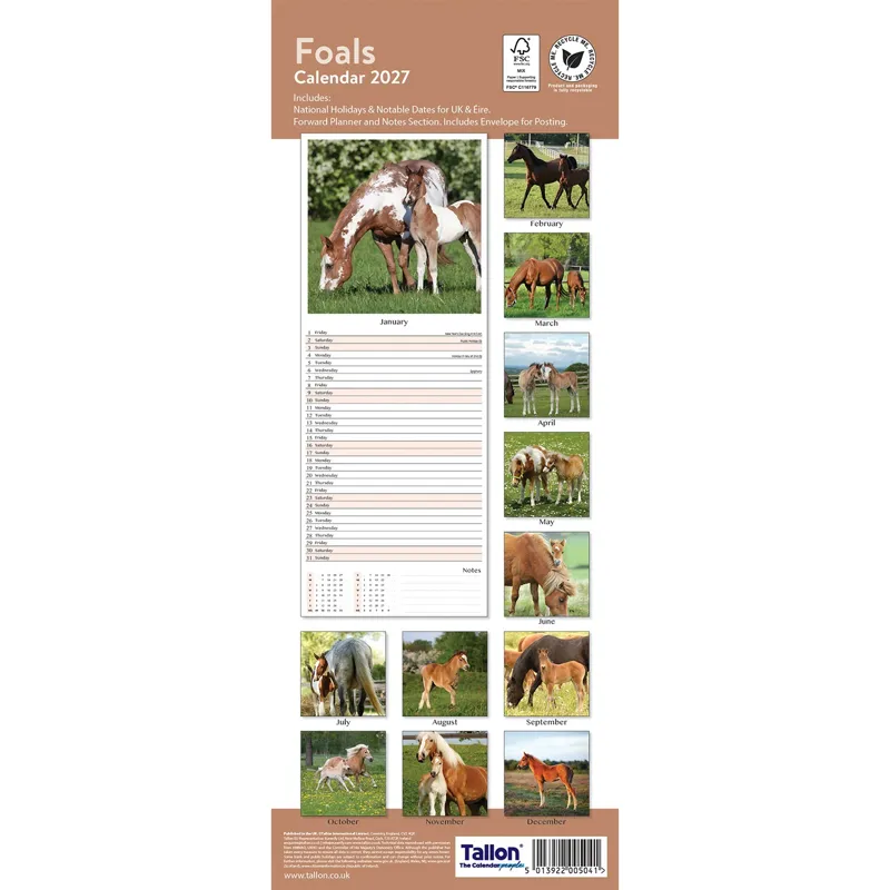 Platinum Slim 2027 Calendar - Foals-2