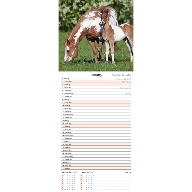 Platinum Slim 2027 Calendar - Foals-1