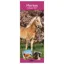 Platinum Slim 2027 Calendar - Horses