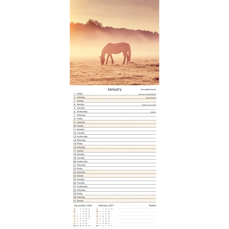 Platinum Slim 2027 Calendar - Horses-1