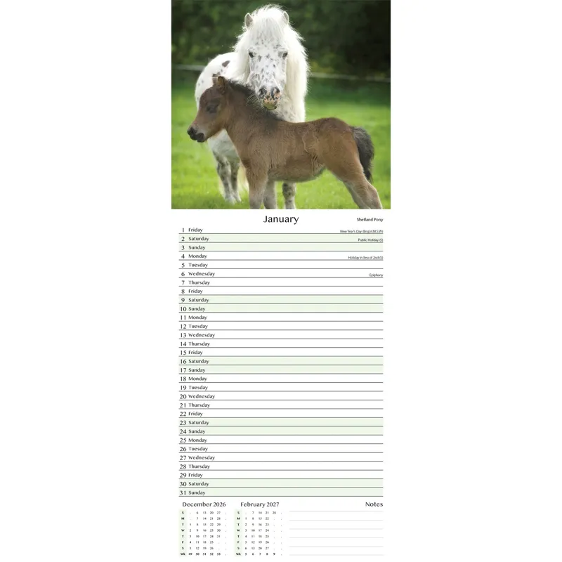 Platinum Slim 2027 Calendar - Ponies-1