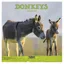 Platinum Square 2027 Calendar - Donkeys
