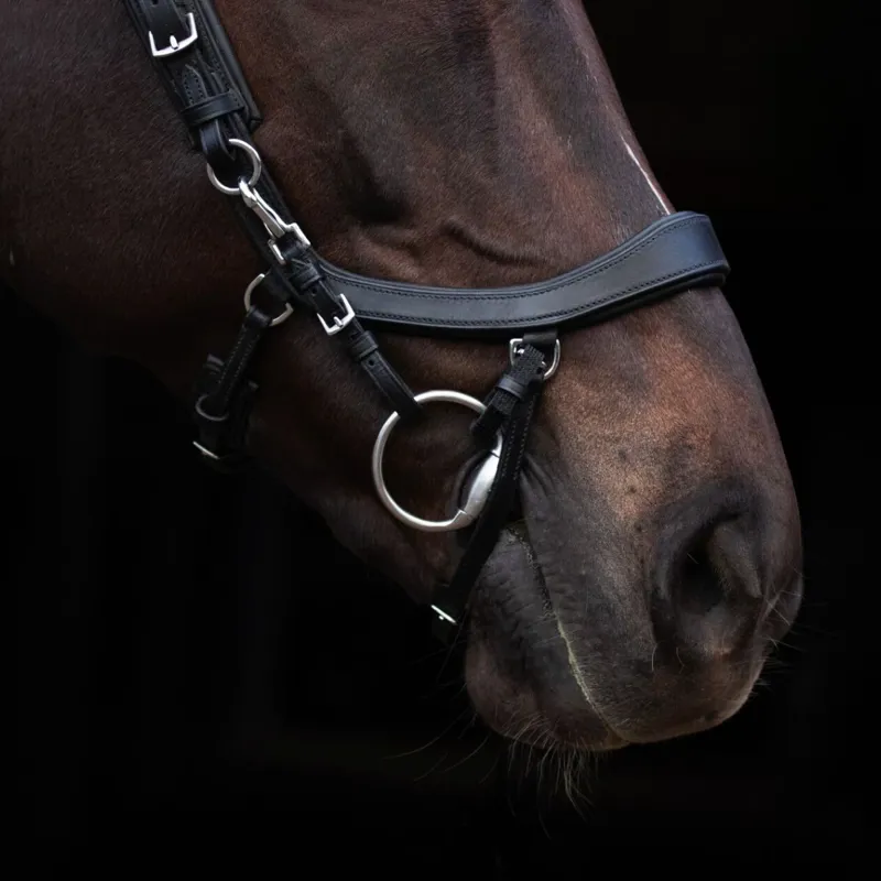 PresTEQ Elastic Bit Straps - Black-1