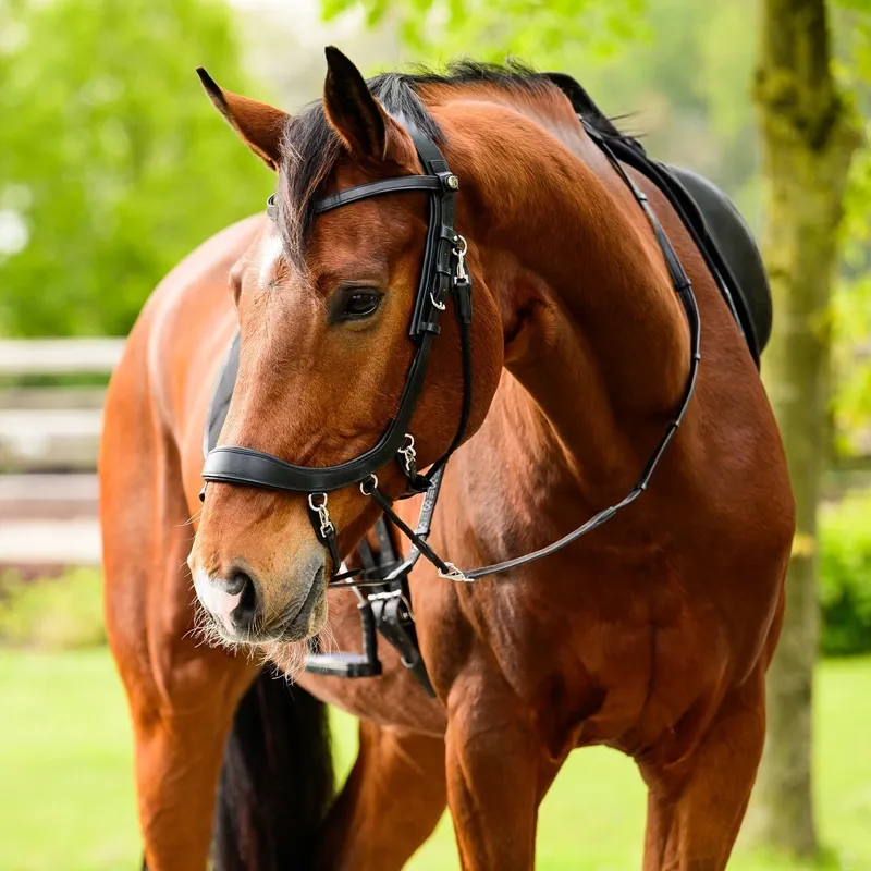 PresTEQ FayRein Bitless Clip Reins with 12.5cm Stops - Black-1