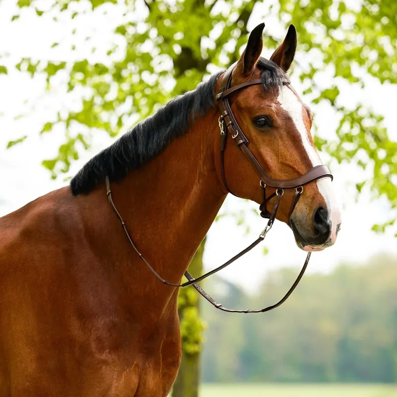 PresTEQ FayRein Bitless Clip Reins with 12.5cm Stops - Brown-1