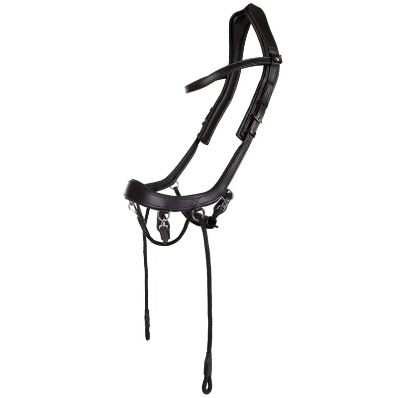 PresTEQ FaySport Anatomic Bitless Bridle - Black-1