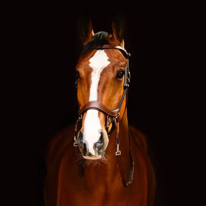 PresTEQ FaySport Anatomic Bitless Bridle - Brown-2