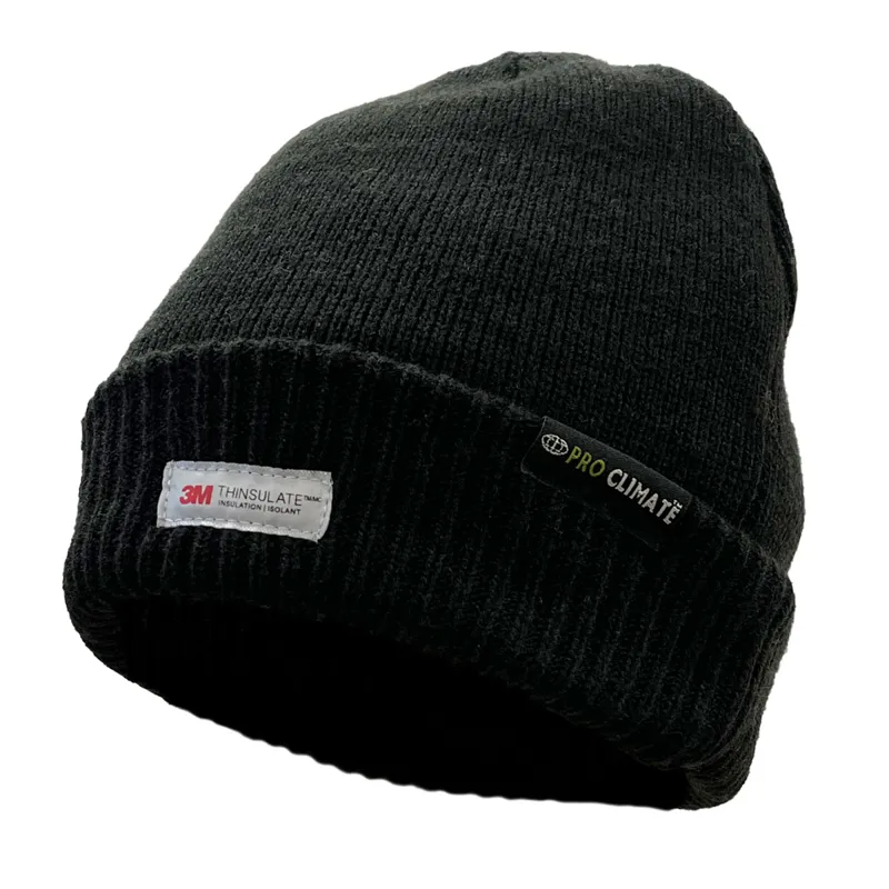 Thinsulate waterproof hat new arrivals