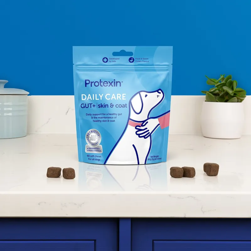 Protexin Daily Care GUT+ Dog Supplement - Skin and Coat -2