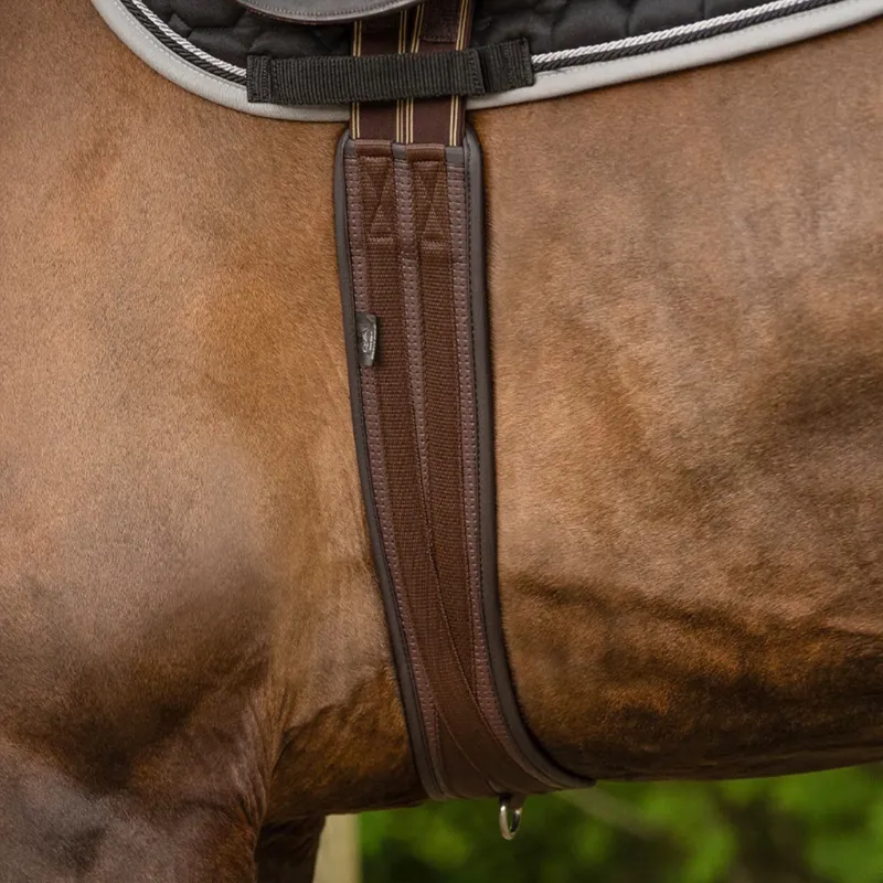 QHP All Purpose Basic Pro Girth - Brown-2