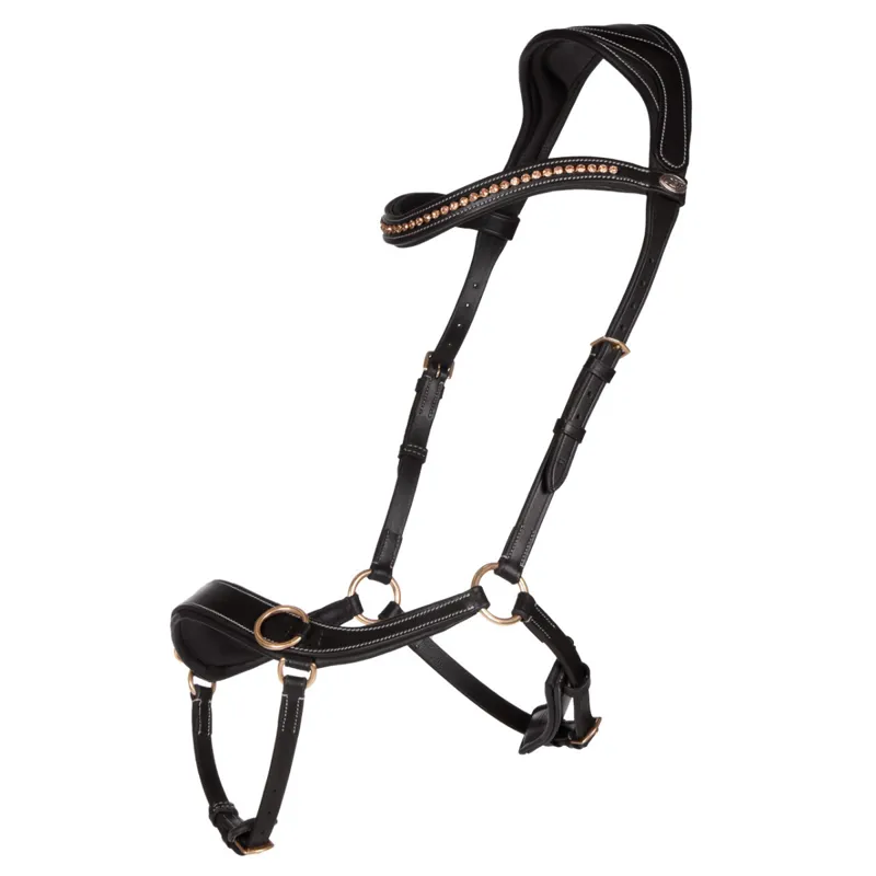 QHP Bitless Anatomical Bridle with Reins - Black-1
