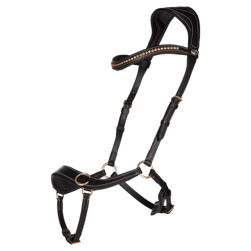 QHP Anatomical Bitless Bridle with Reins - Black