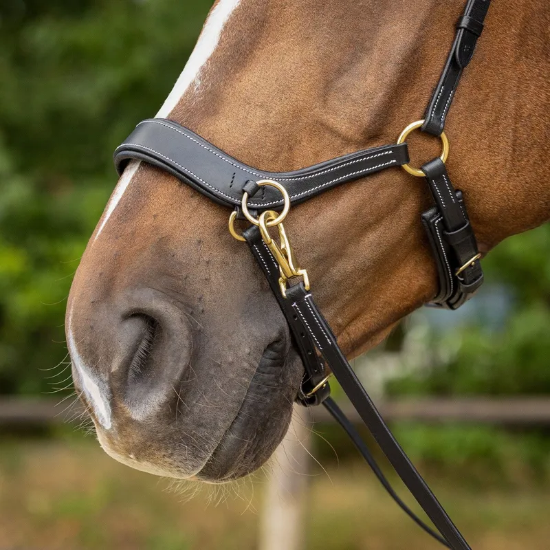 QHP Anatomical Bitless Bridle with Reins - Black-3
