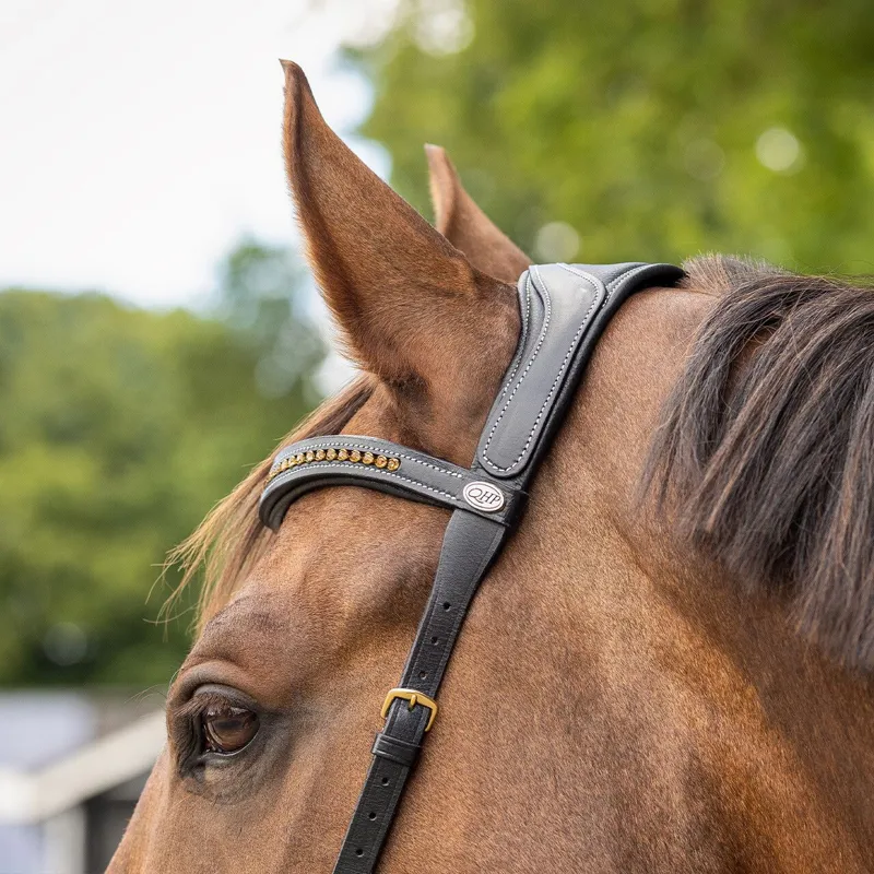 QHP Anatomical Bitless Bridle with Reins - Black-2