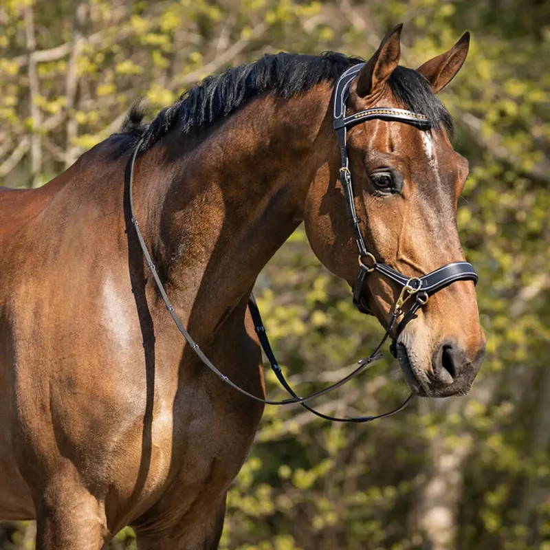 QHP Anatomical Bitless Bridle with Reins - Black-1