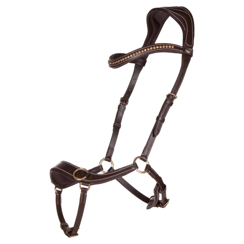 QHP Anatomical Bitless Bridle with Reins - Brown