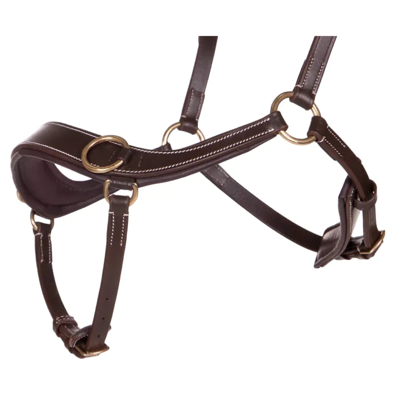 QHP Anatomical Bitless Bridle with Reins - Brown-4