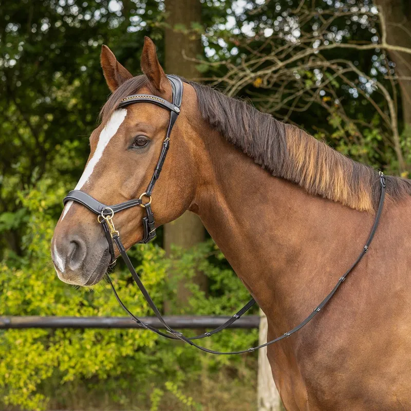 QHP Anatomical Bitless Bridle with Reins - Brown-2