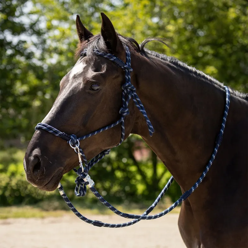QHP Aubree Rope Halter with Reins - Misty Blue/Navy-1