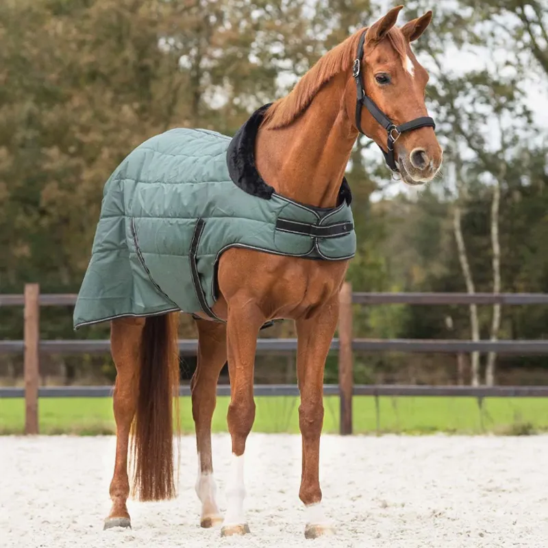 QHP Avélie 200g Stable Rug with Shoulder Cut Out - Jungle Green-5