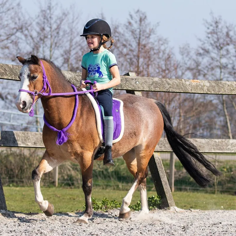 QHP Bareback Pad - Passion Flower-1