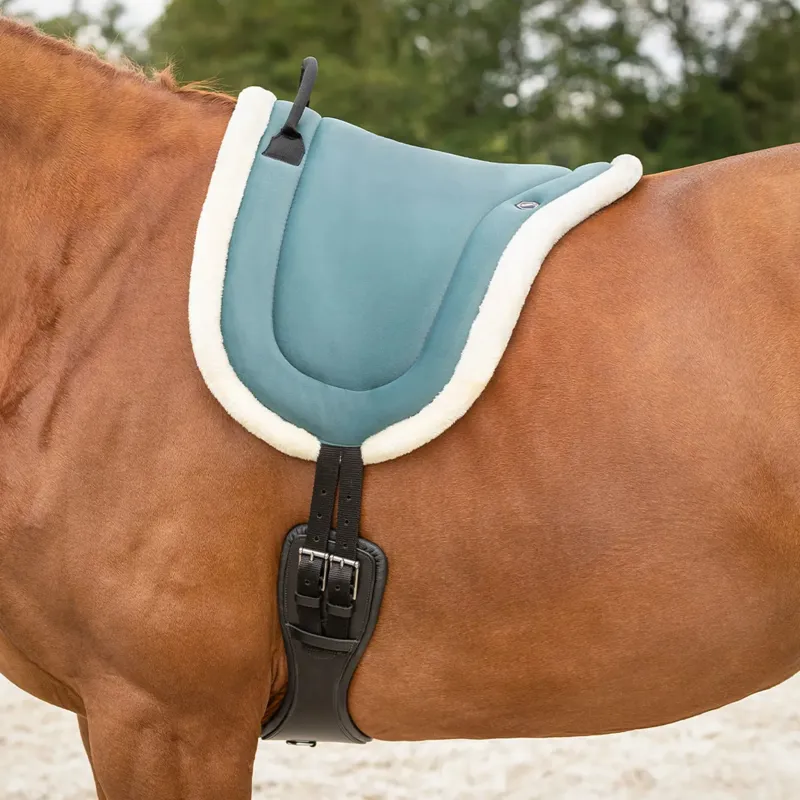 QHP Bareback Pad - Petrol-1