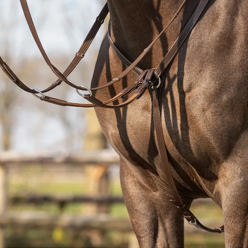 QHP BasicPro Breastplate - Black-1