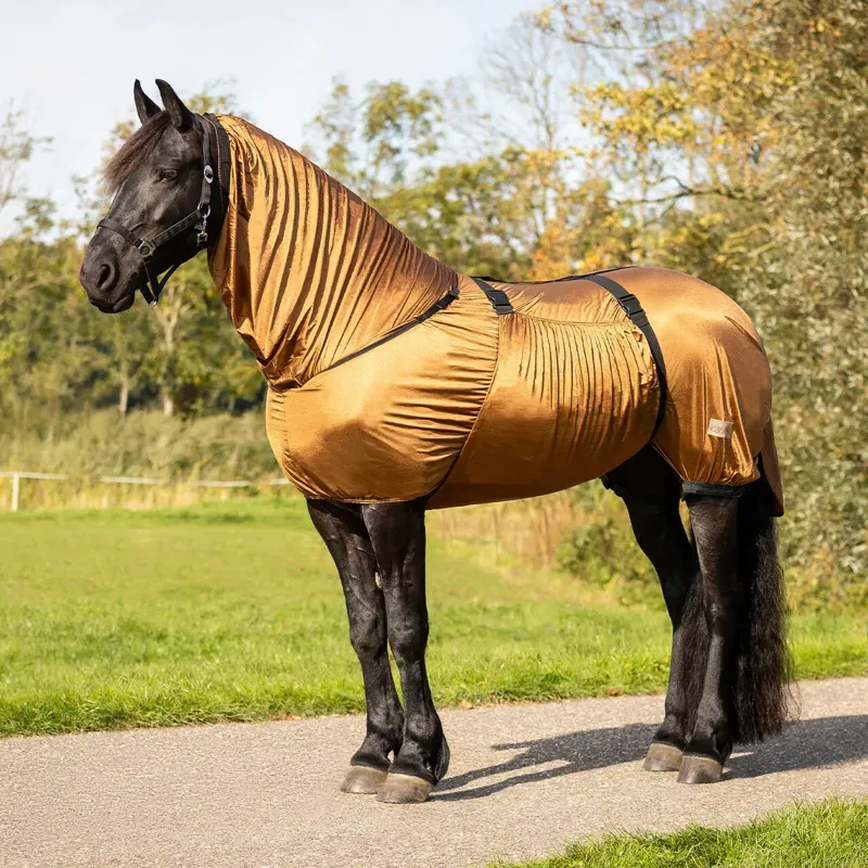 QHP Big Neck Sweet-Itch Combo Neck Fly Rug - Brown