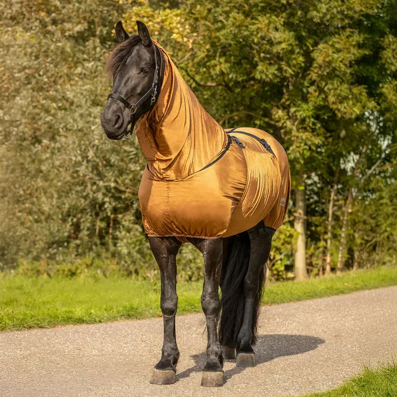 QHP Big Neck Sweet-Itch Combo Neck Fly Rug - Brown-2
