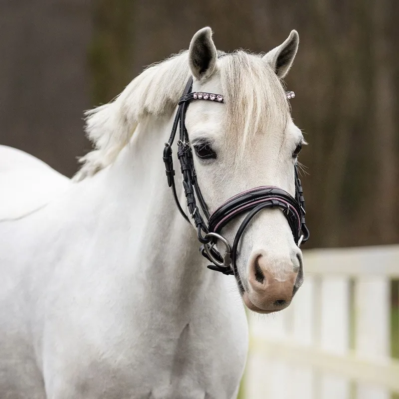 QHP Bixie Bridle with Reins - Black and Pink-3
