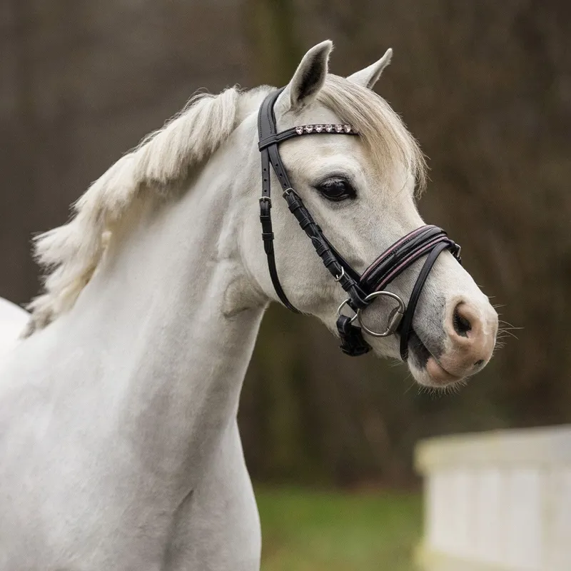 QHP Bixie Bridle with Reins - Black and Pink-4