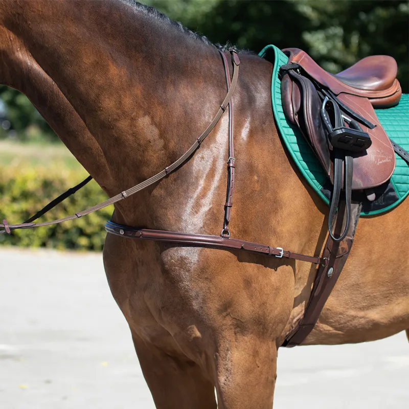 QHP Leather Breast Strap - Brown-1