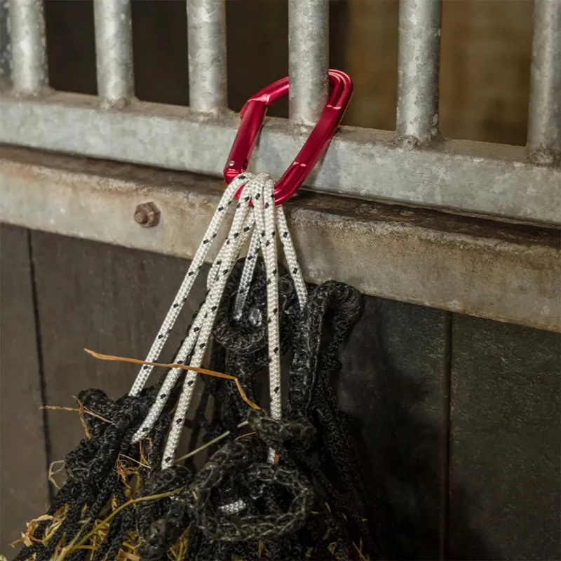 QHP Carabiner - Fuchsia-1