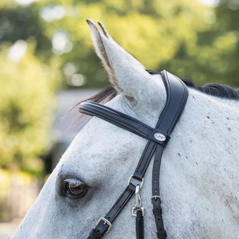 QHP Ceto Anatomical Bitless Bridle with Reins - Black-3