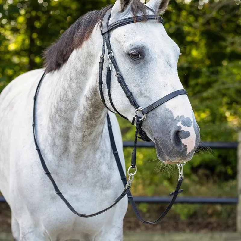 QHP Ceto Anatomical Bitless Bridle with Reins - Black-1