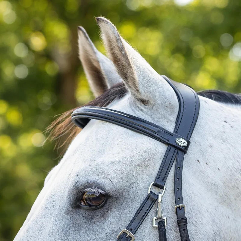 QHP Ceto Anatomical Bitless Bridle with Reins - Black-5