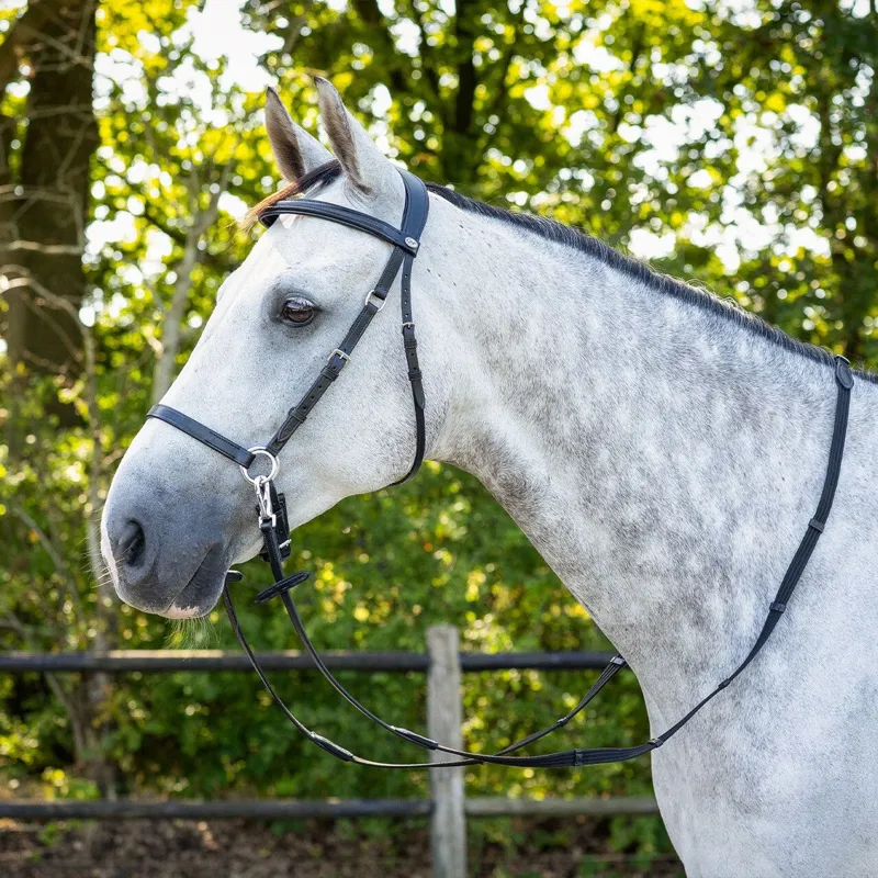 QHP Ceto Anatomical Bitless Bridle with Reins - Black-2