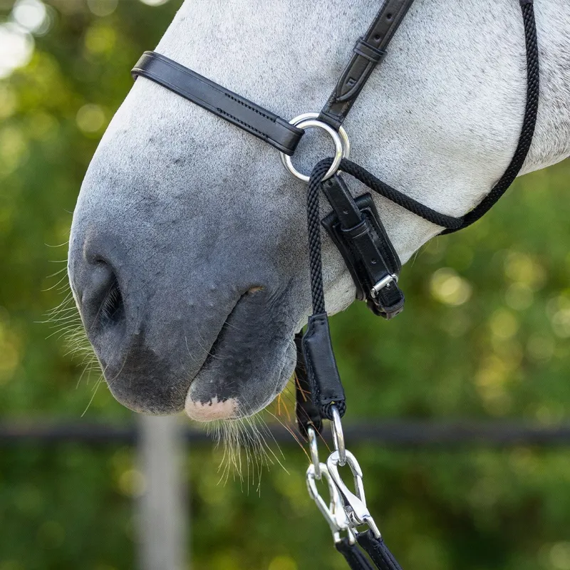 QHP Ceto Anatomical Bitless Bridle with Reins - Black-4