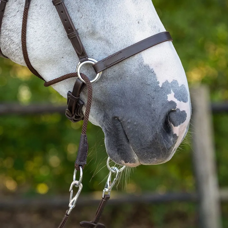QHP Ceto Anatomical Bitless Bridle with Reins - Brown-4