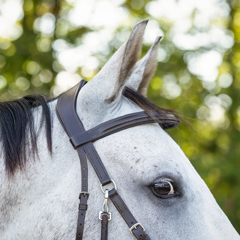 QHP Ceto Anatomical Bitless Bridle with Reins - Brown-3