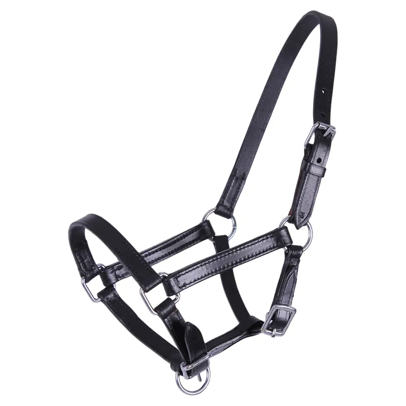 QHP Chico Leather Foal Headcollar - Black