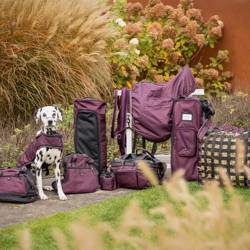 QHP Collection Lunge Attachment - Wine Red-1