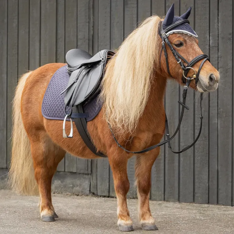QHP Complete Pony Saddle and Bridle Set - Black-2