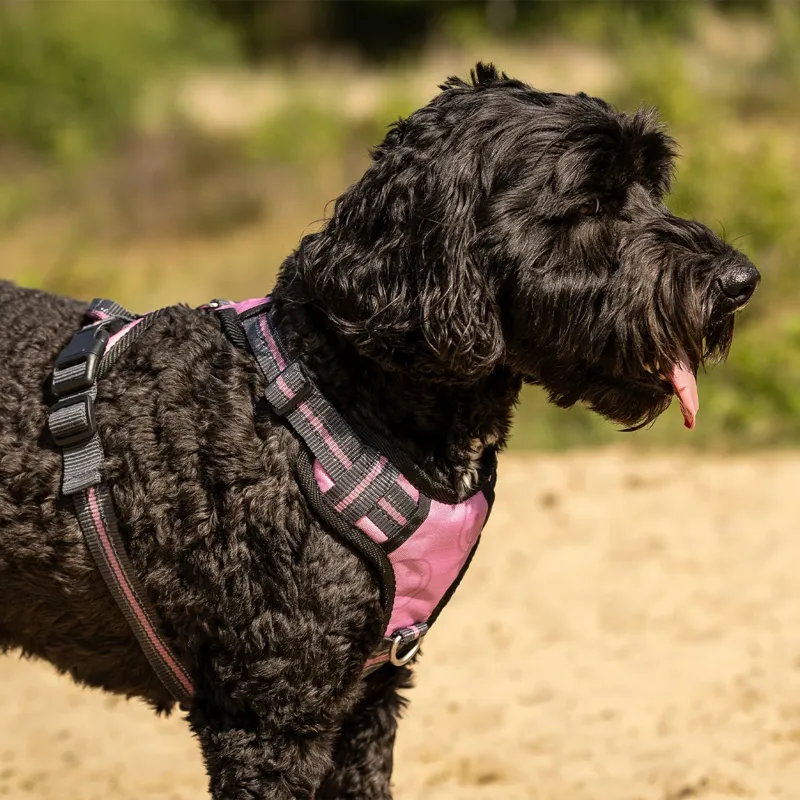 QHP Collection Dog Harness - Cheery Pink-2