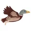 QHP Collection Dog Toy - Duck