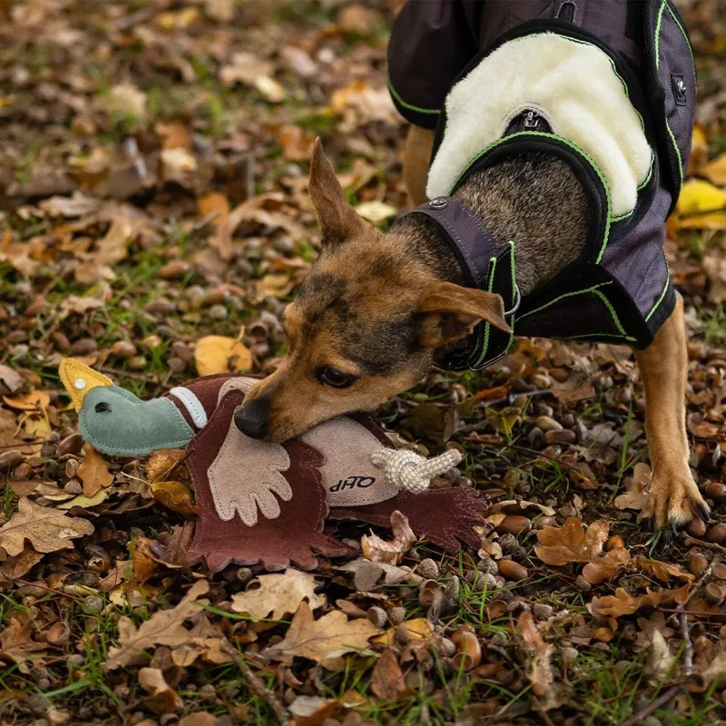 QHP Collection Dog Toy - Duck-3