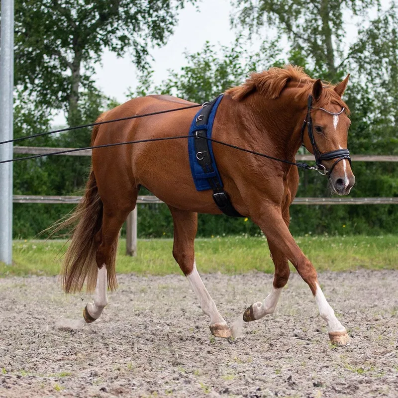 QHP Double Lunging Rein - Black-2