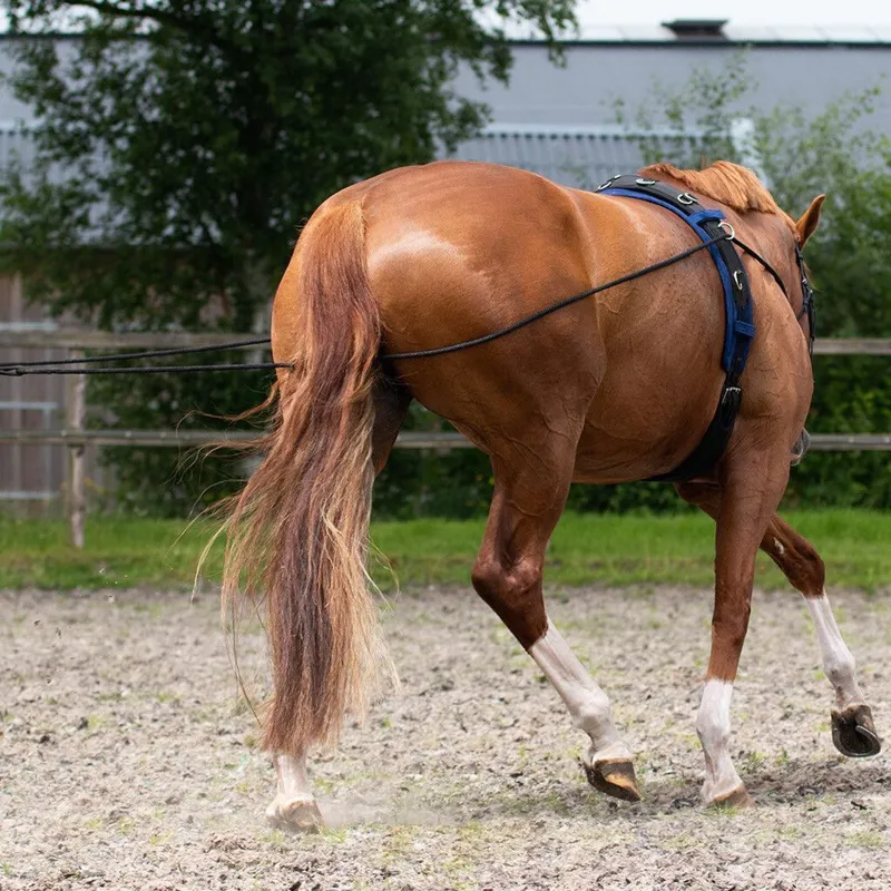QHP Double Lunging Rein - Black-3