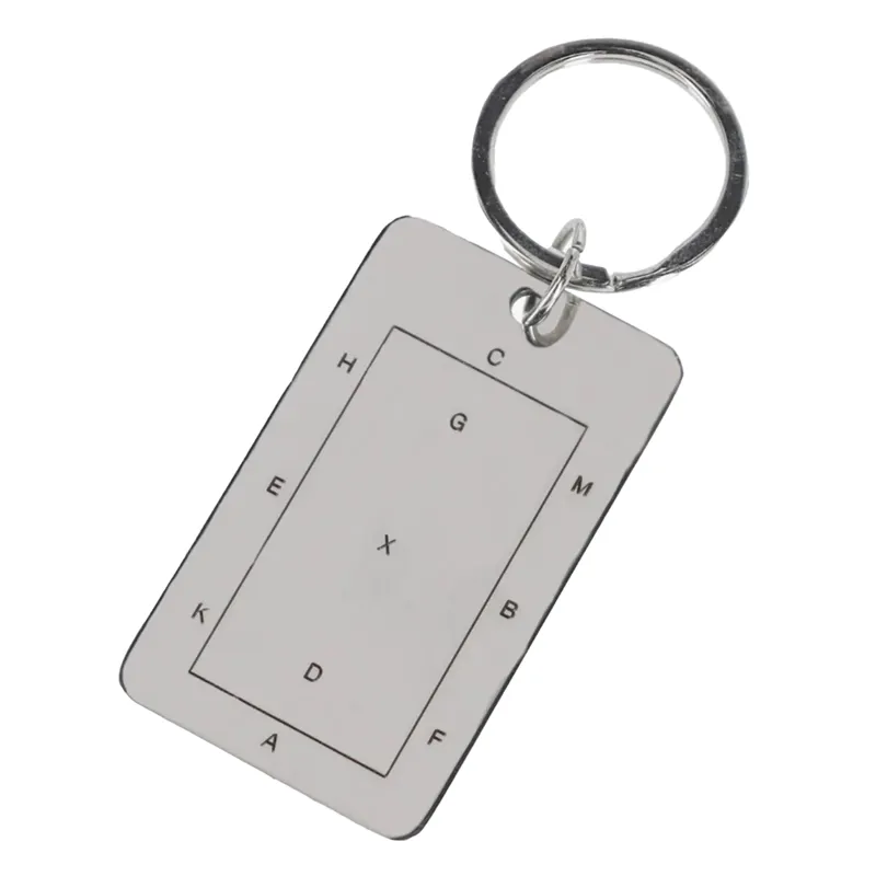 QHP Dressage Arena Key Ring - Silver