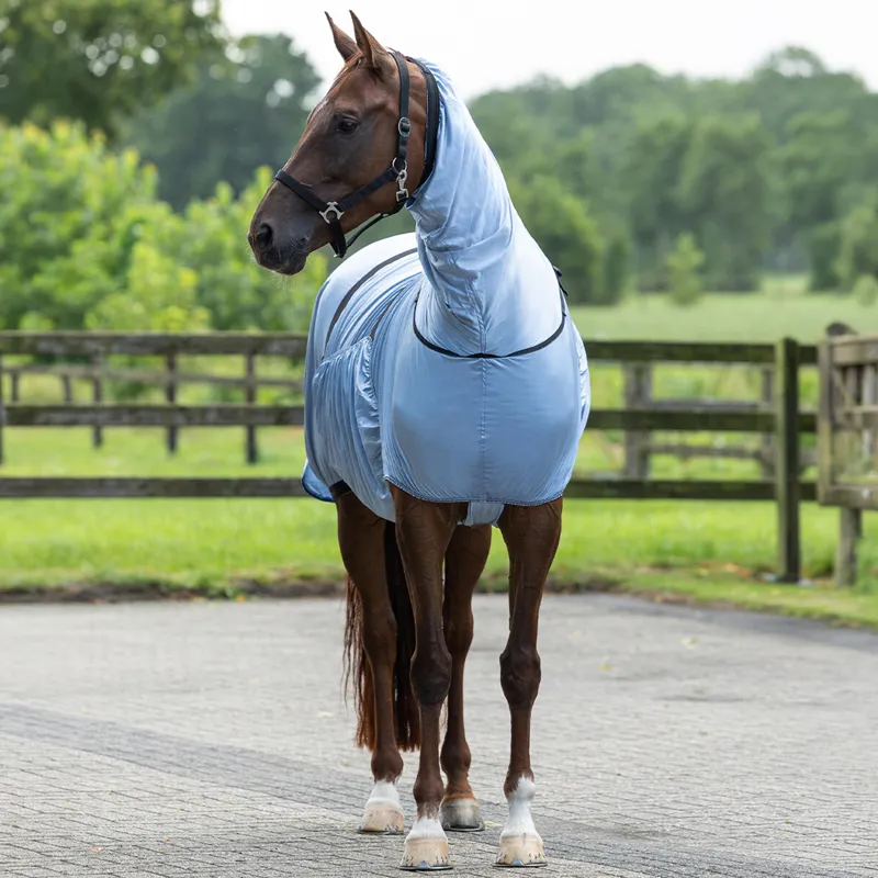 QHP Eczema Sweet-Itch Combo Neck Fly Rug - Steel Blue-1